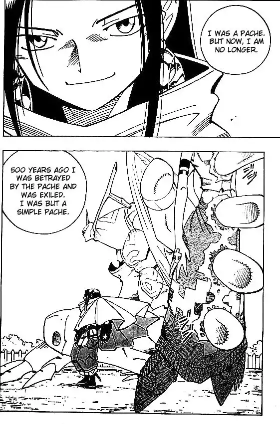 Shaman King Chapter 84 13